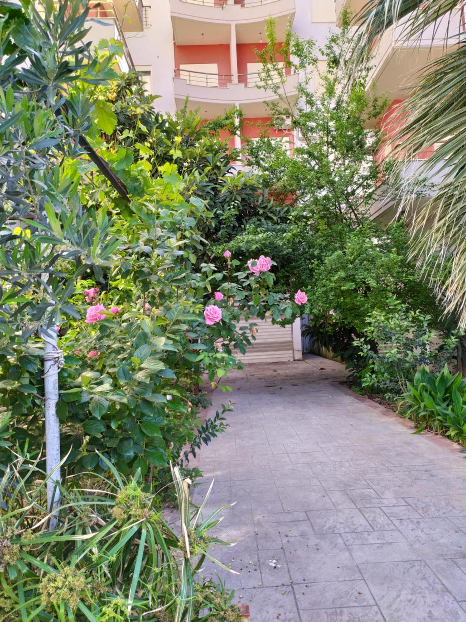 Valbona Apartments Vlorë Eksteriør billede