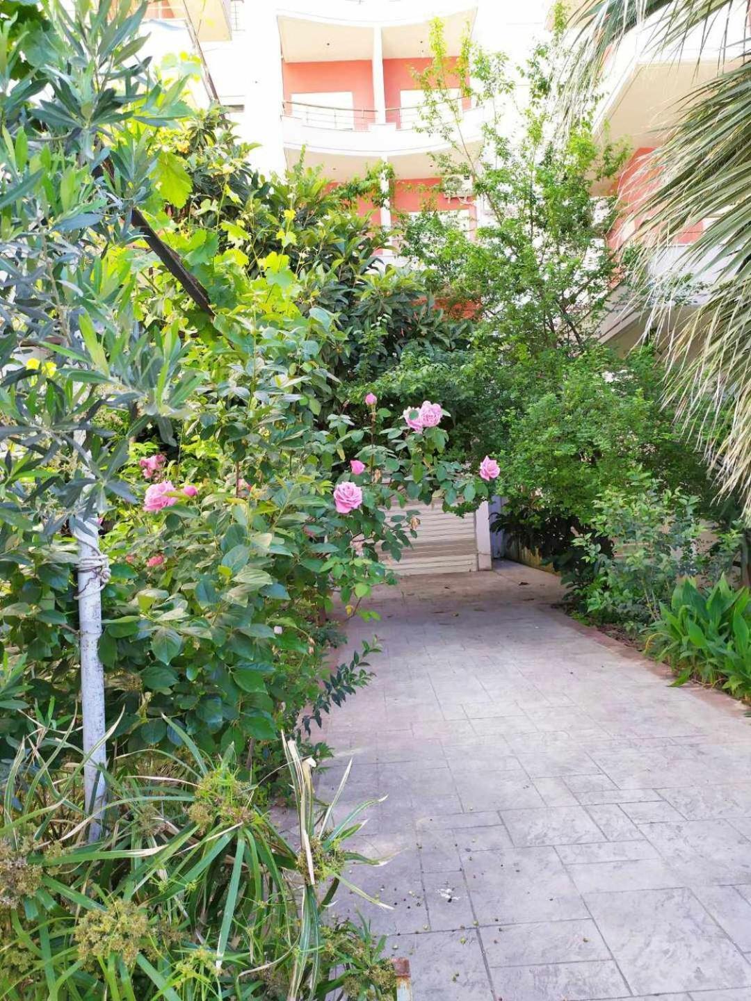 Valbona Apartments Vlorë Eksteriør billede